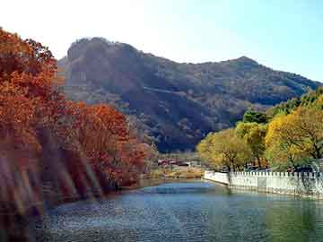 澳门精准正版免费大全14年新，夜之祭礼